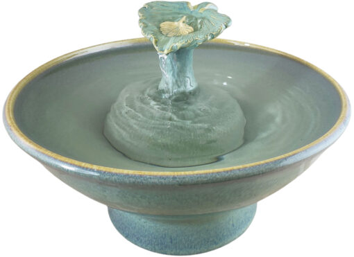 20251219_092809-Photoroom