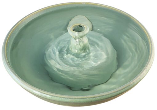 20251222_112052-Photoroom