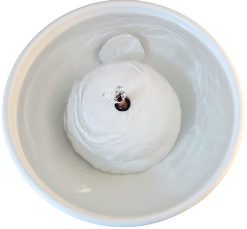 20251222_155520-Photoroom