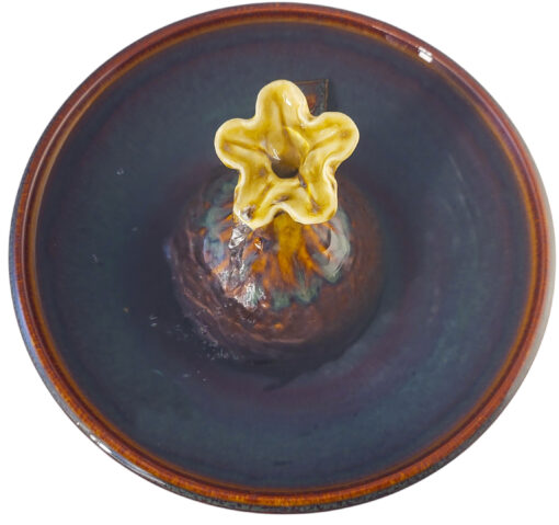 20251222_160601-Photoroom