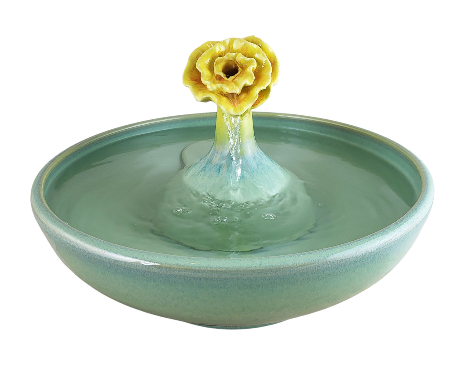 20260114_161903-Photoroom