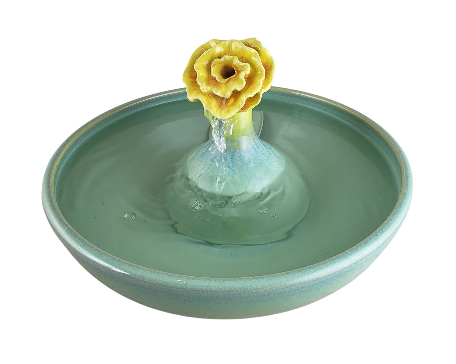 20260114_161927-Photoroom