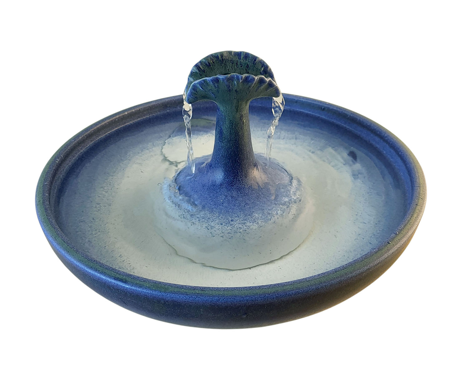 20260117_140546-Photoroom