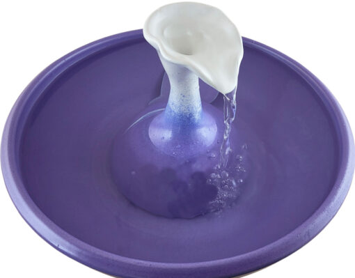 20260118_113134-Photoroom