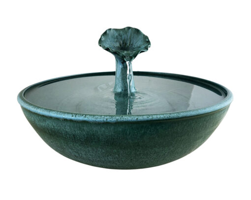 20260118_113459-Photoroom