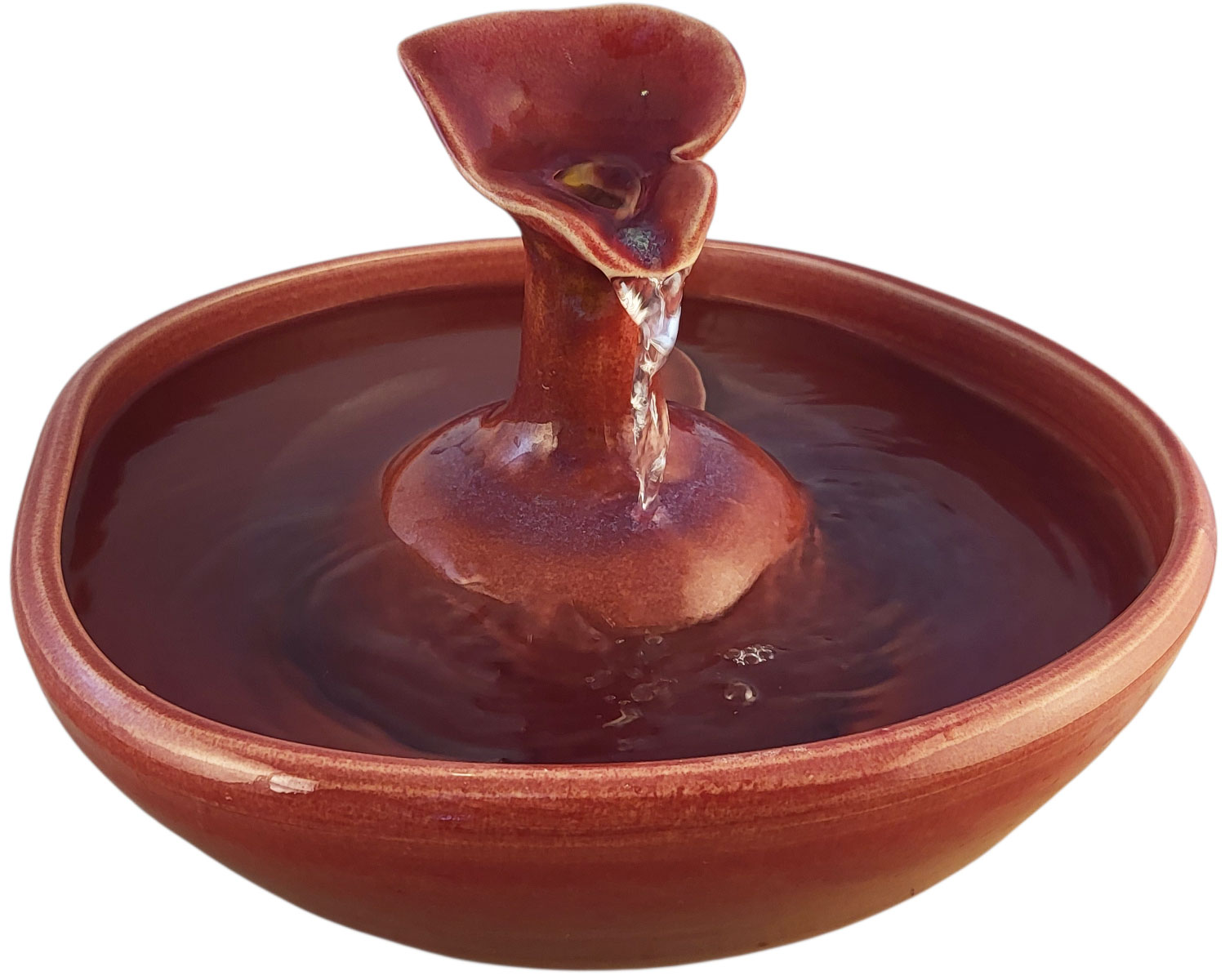 20260121_144923-Photoroom