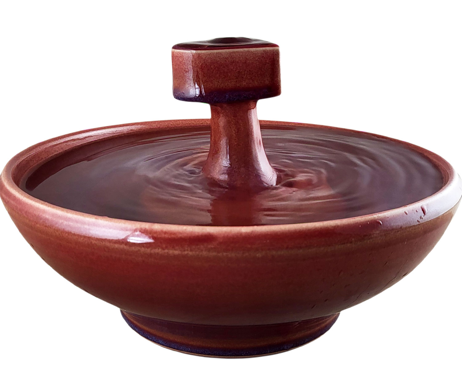 20260121_145745-Photoroom