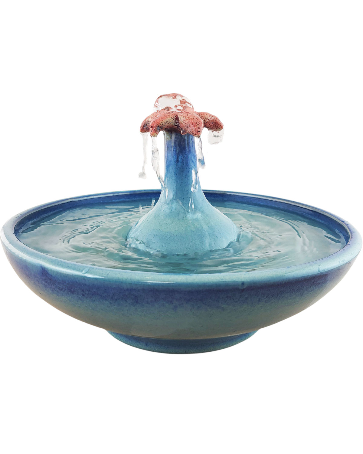 20260122_110532-Photoroom