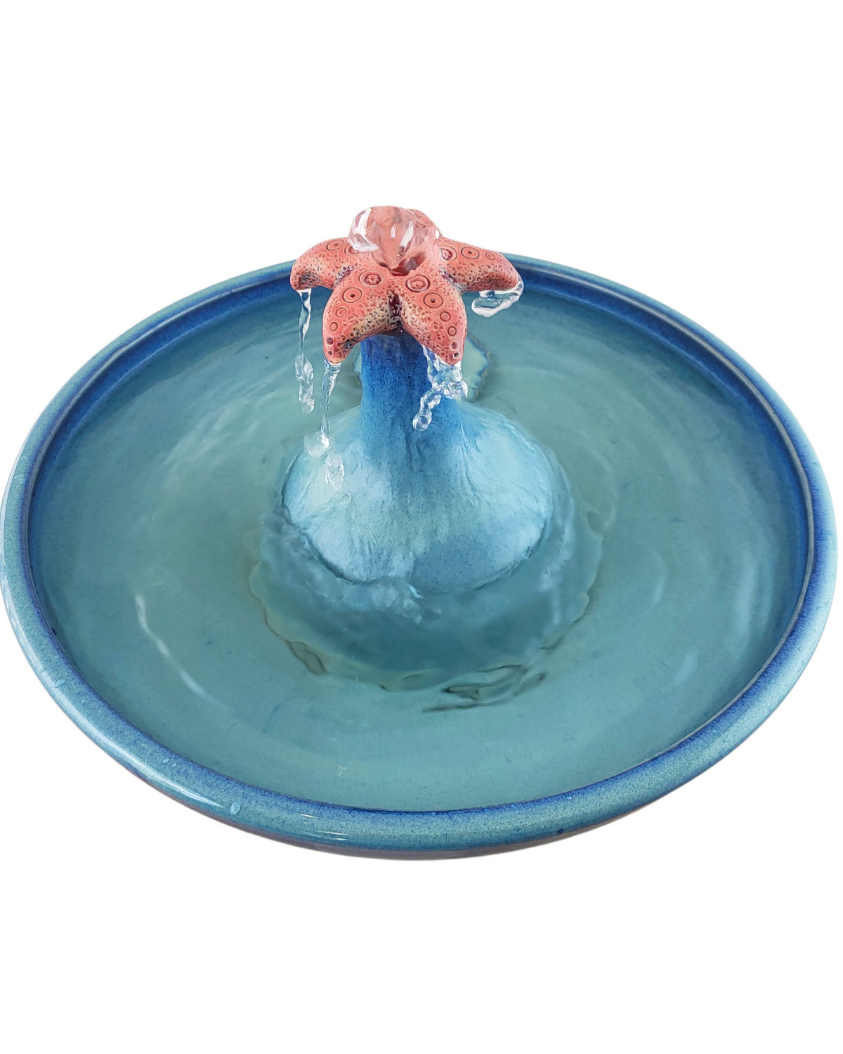 20260122_110549-Photoroom