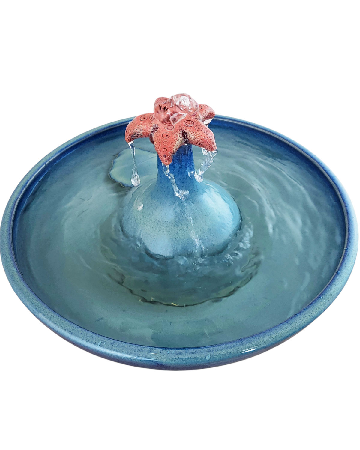 20260122_110612-Photoroom