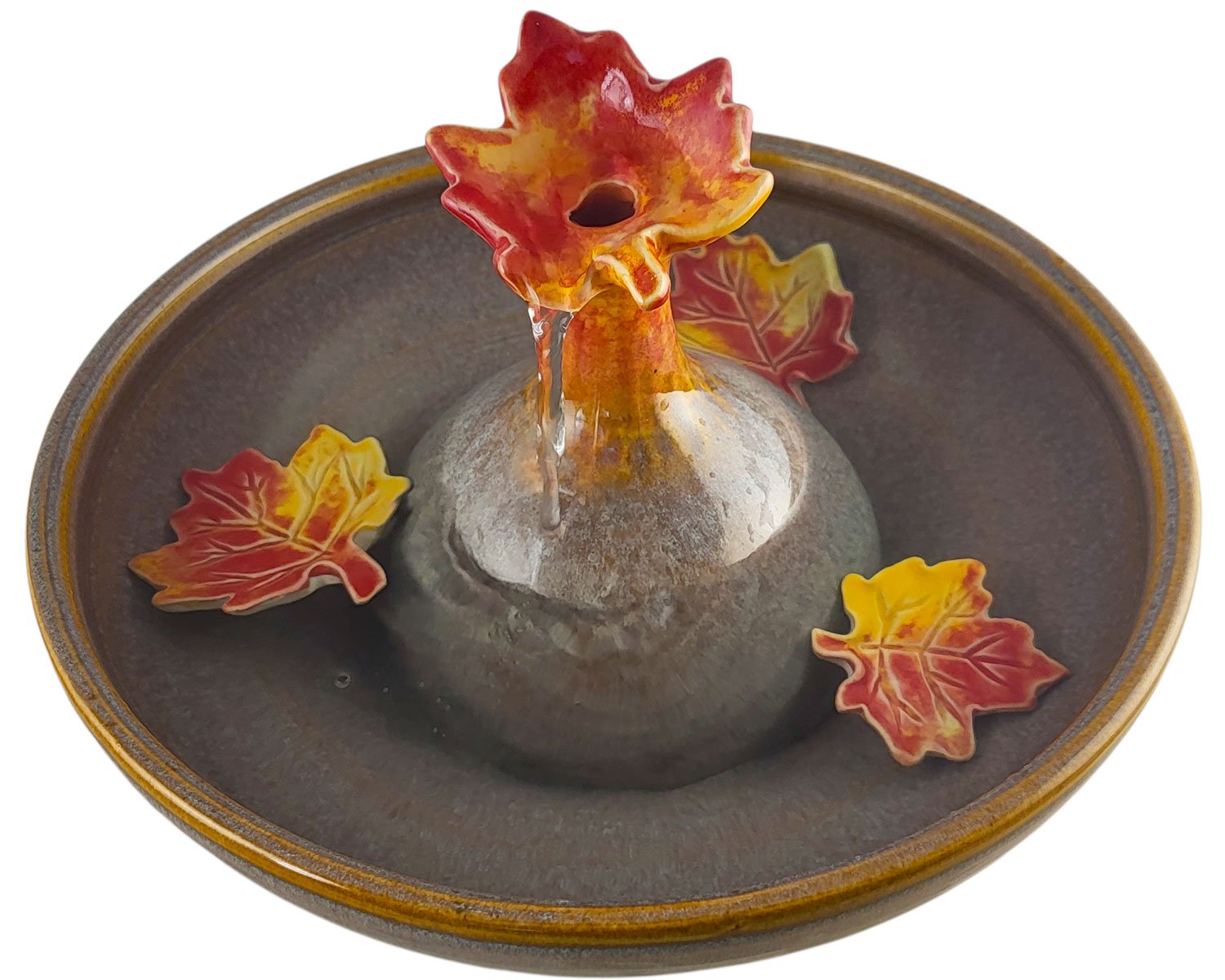 20260127_103124-Photoroom