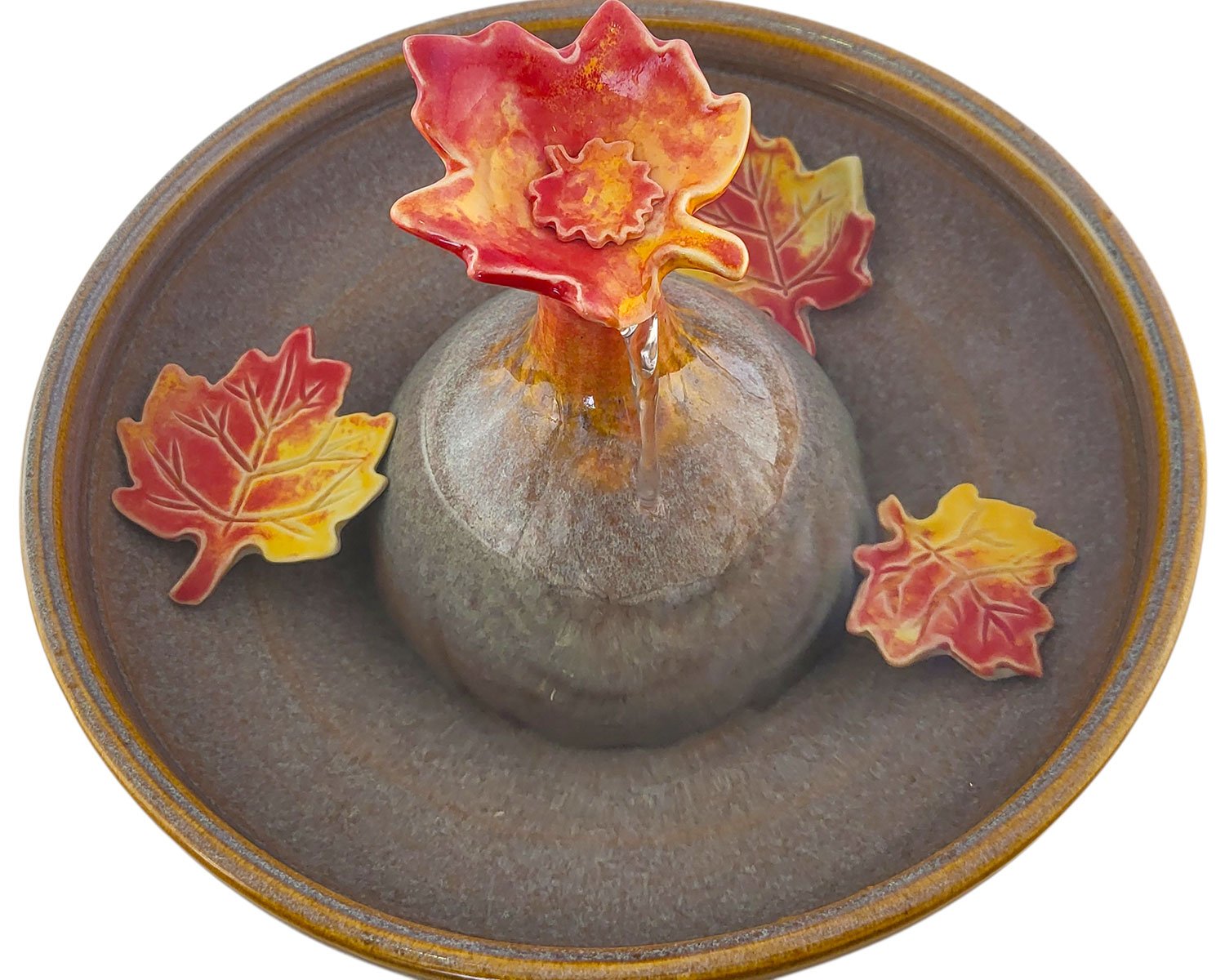 20260127_103236-Photoroom