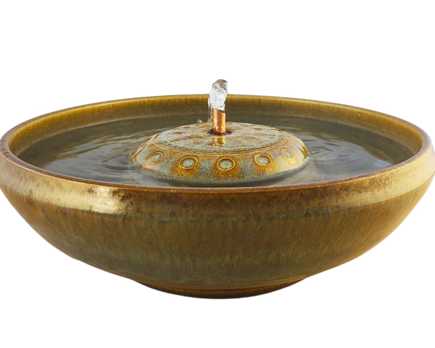 20260129_144159-Photoroom-(1)