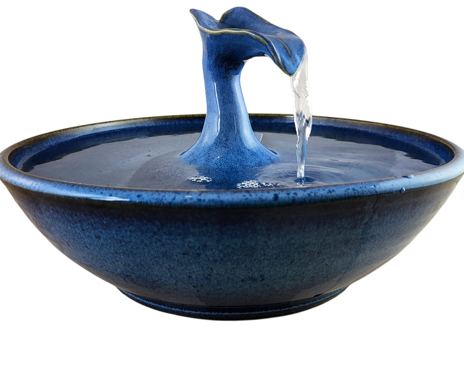 20260130_160106-Photoroom