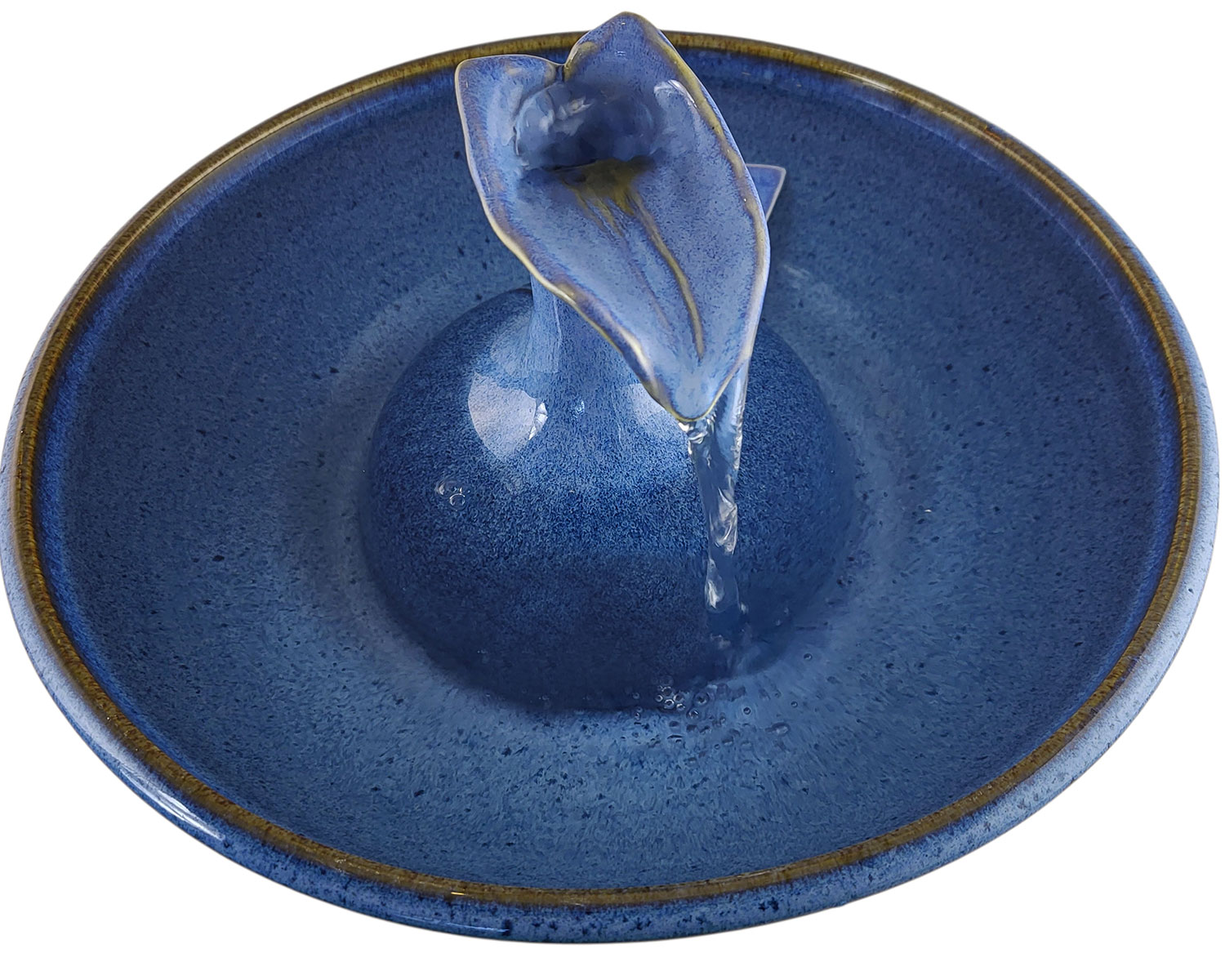 20260130_160124-Photoroom