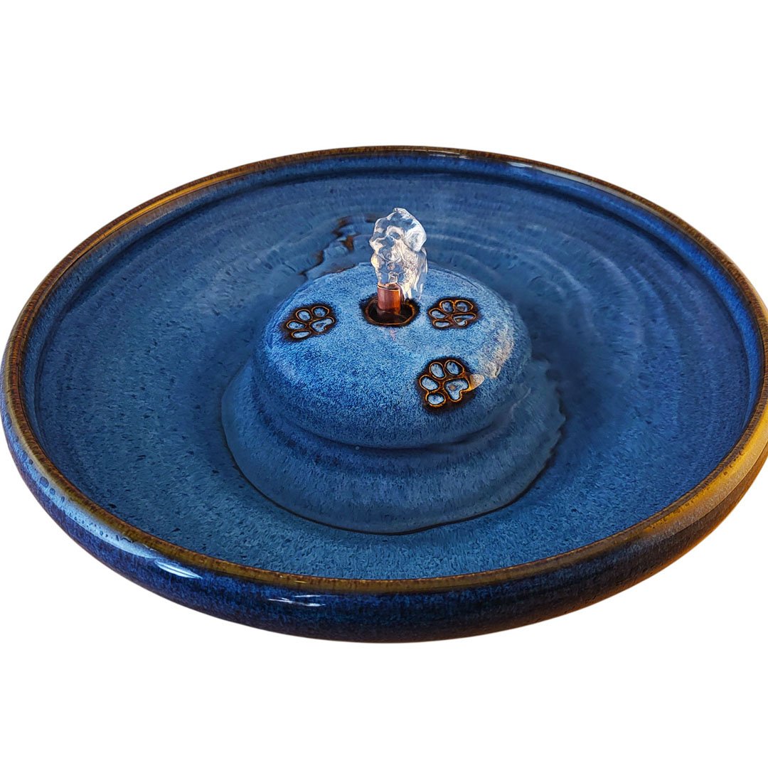 20260131_093635-Photoroom