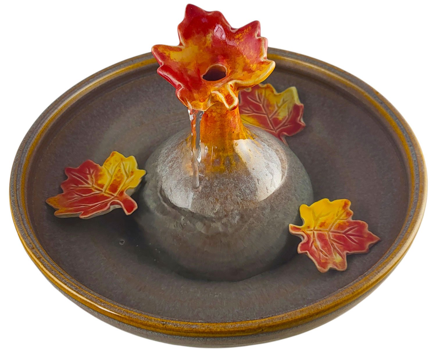 20260127_103124-Photoroom