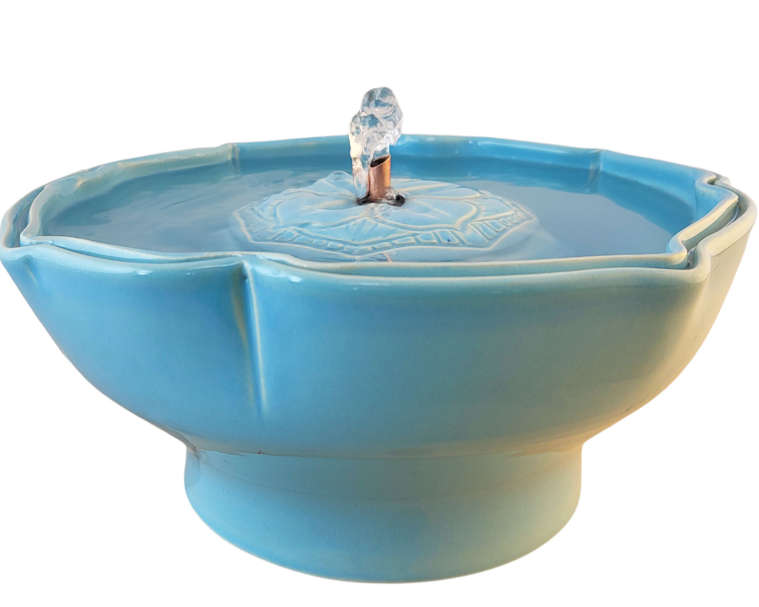 20260201_133127-Photoroom