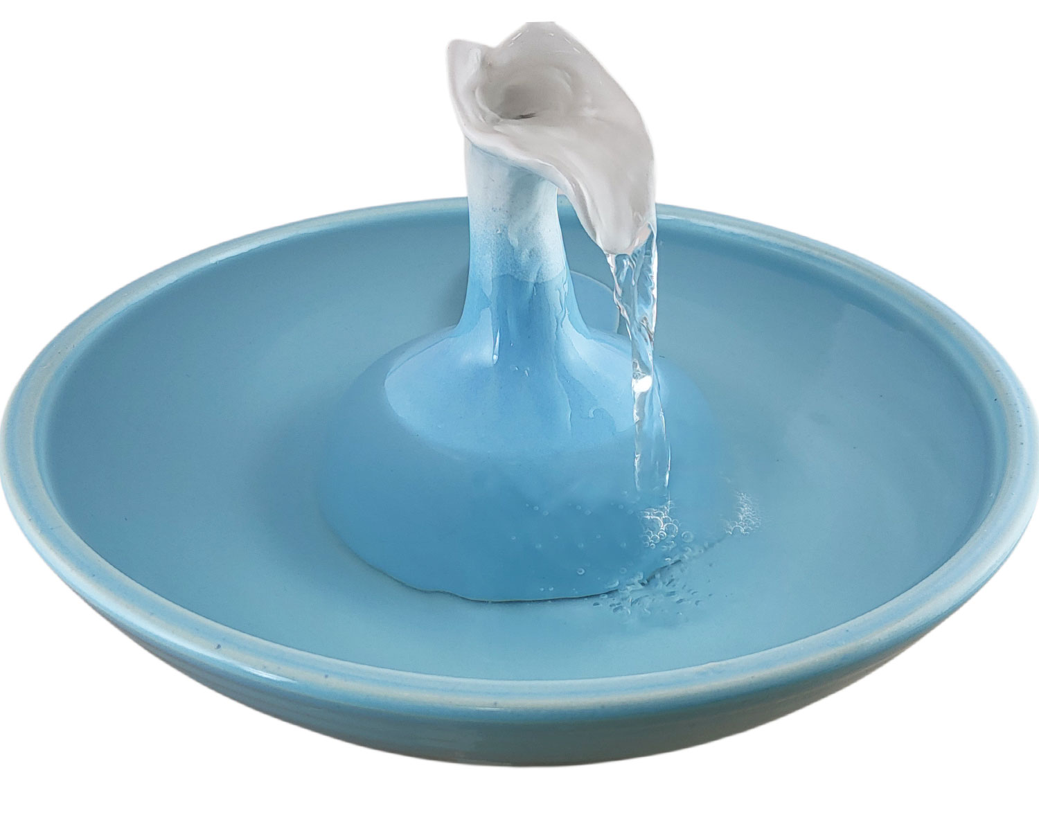 20260201_134850-Photoroom