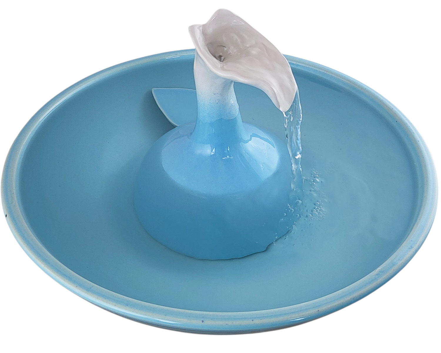 20260201_134853-Photoroom