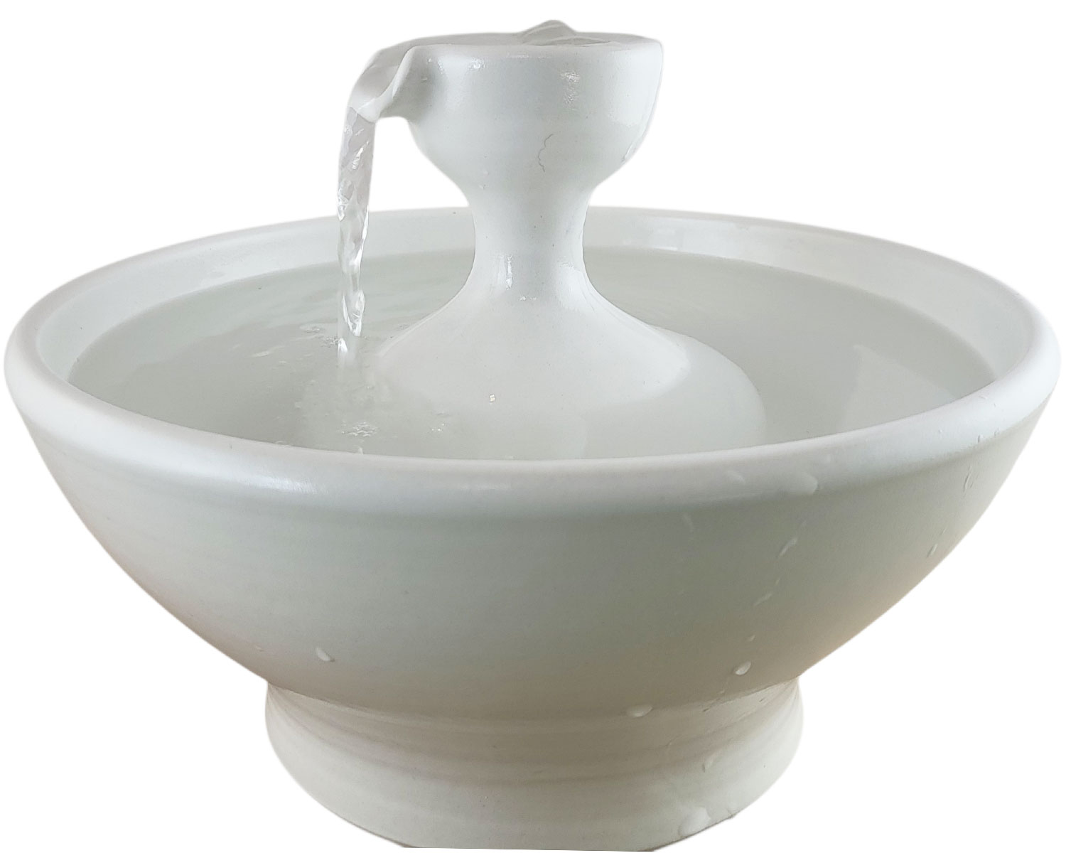 20260201_135109-Photoroom