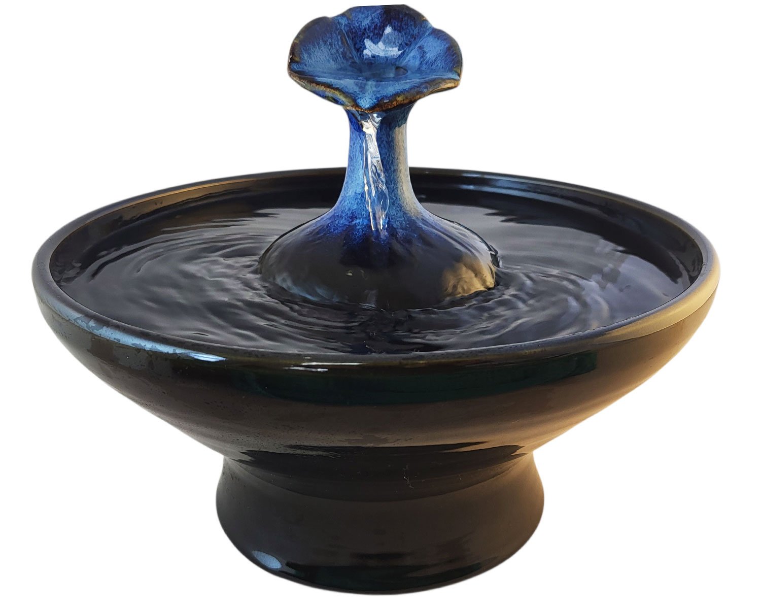 20260202_095127-Photoroom