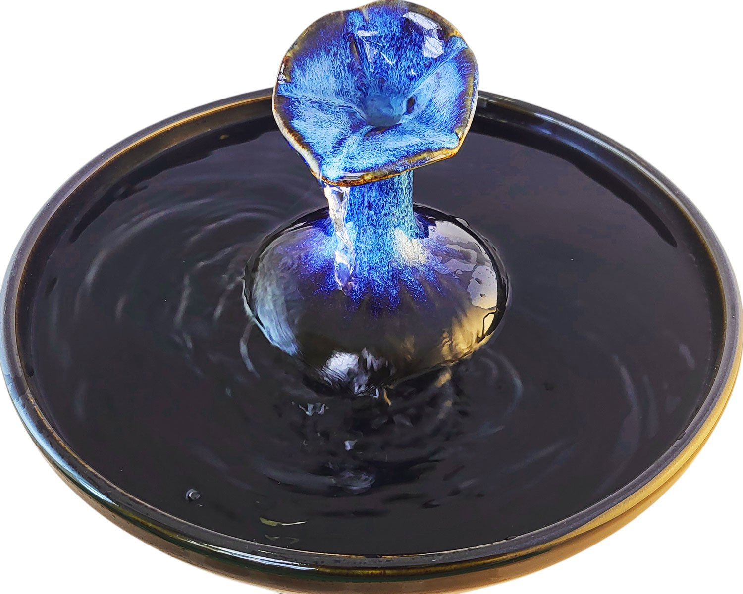 20260202_095134-Photoroom