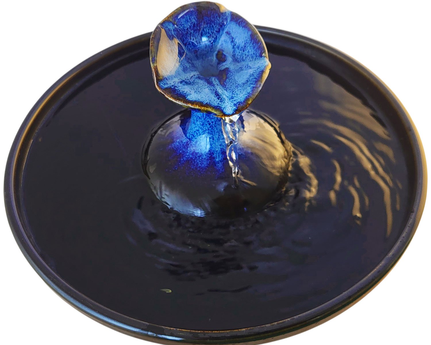 20260202_095139-Photoroom