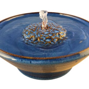 Seashells Original Style  Cat Drinking Fountain (8 Cup)