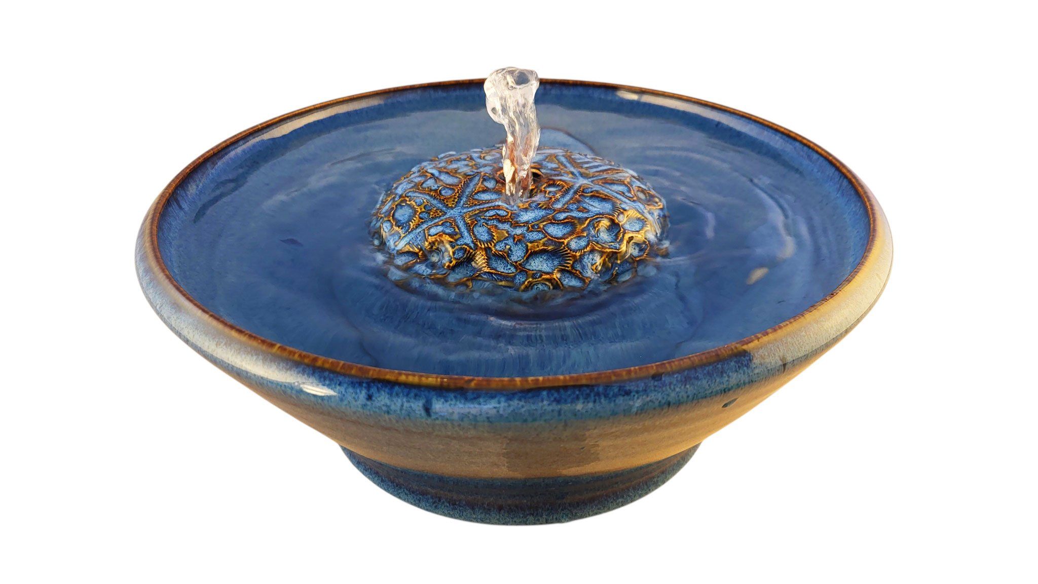 Seashells Original Style  Cat Drinking Fountain (8 Cup)