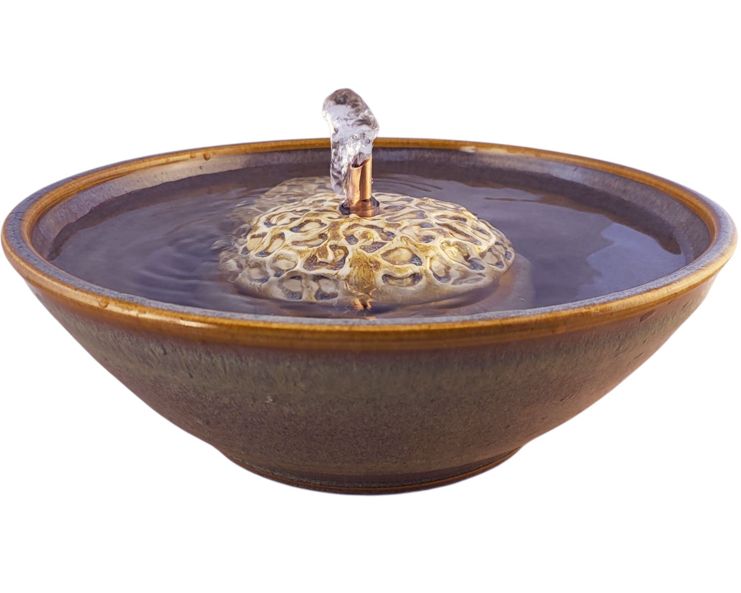 20260205_145423-Photoroom