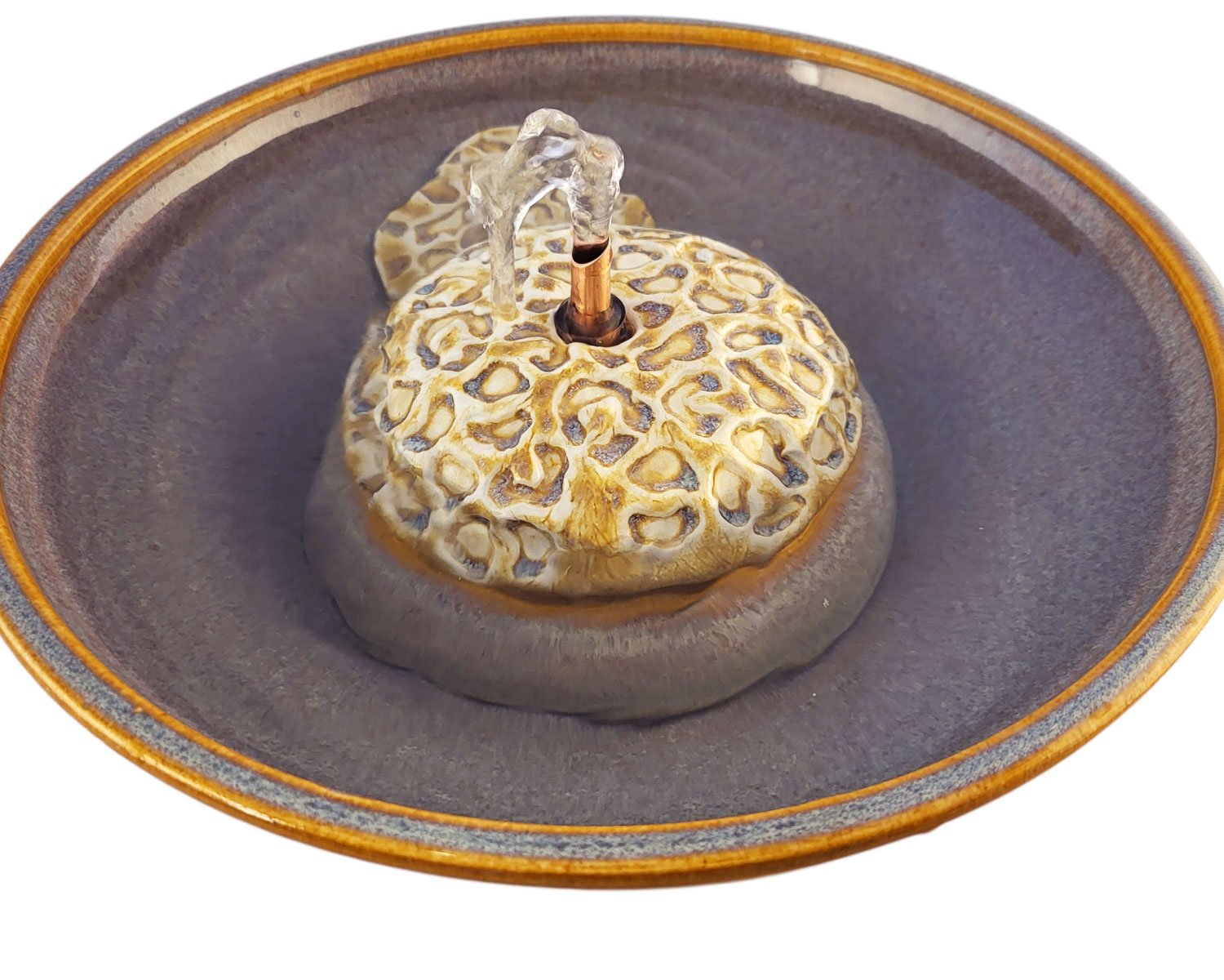 20260205_145428-Photoroom