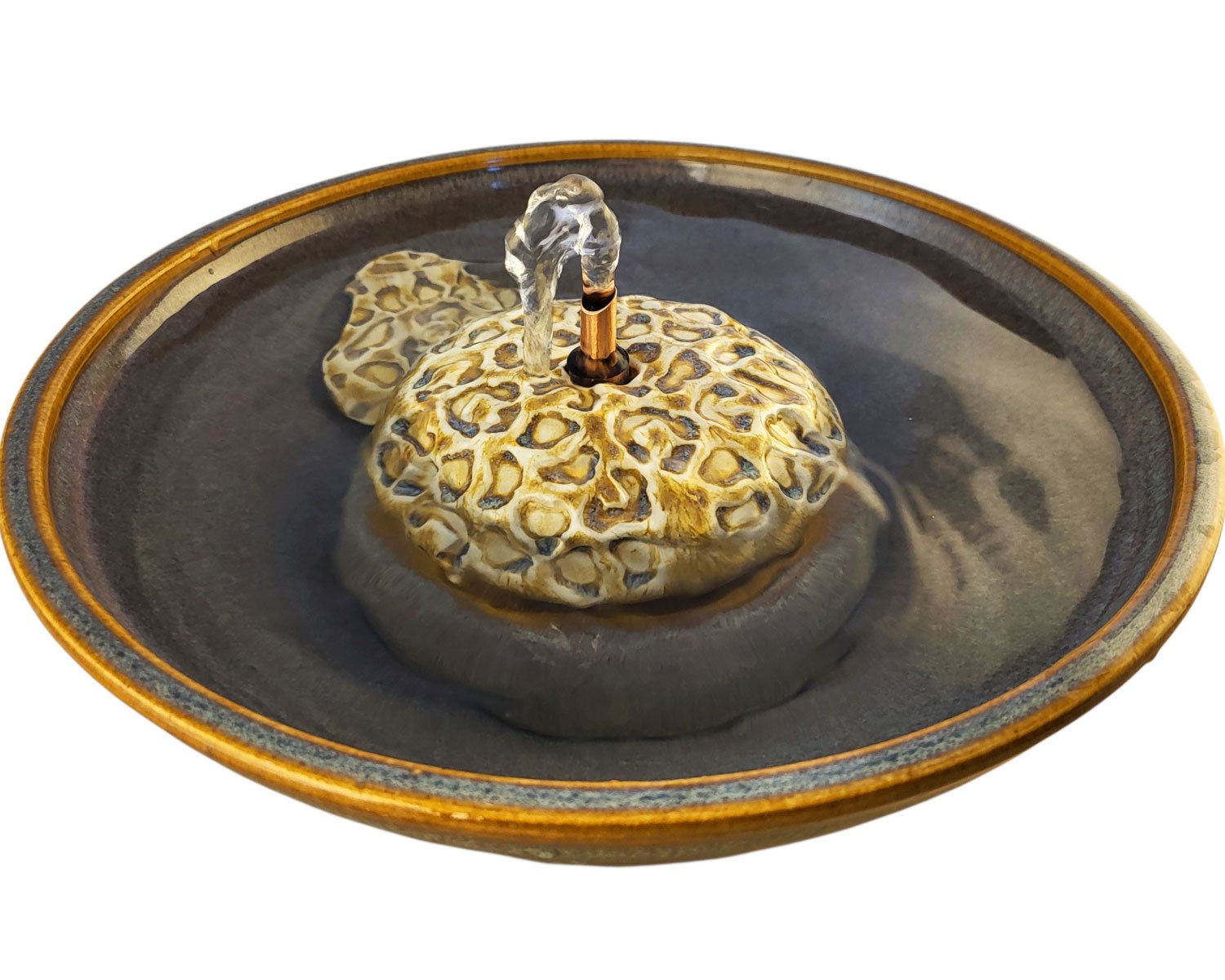 20260205_145447-Photoroom