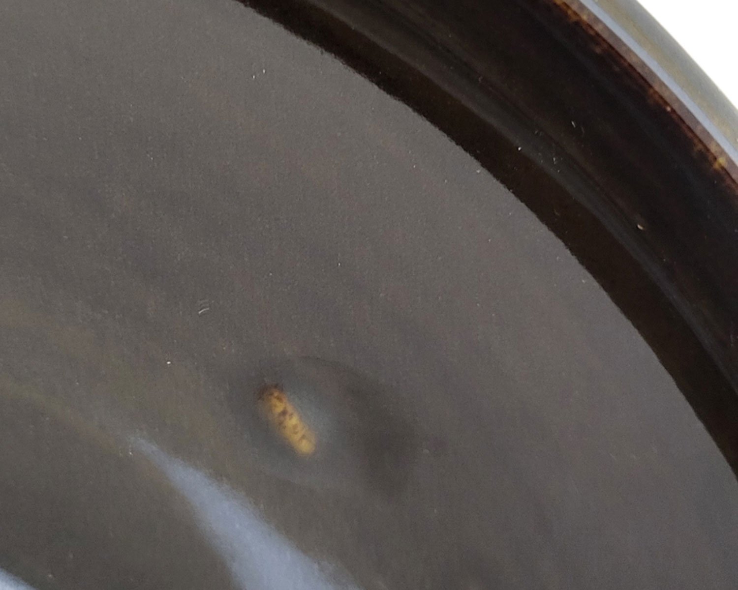 20260205_145727-Photoroom