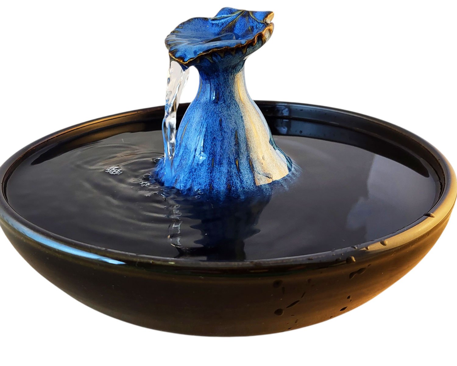 20260205_145906-Photoroom