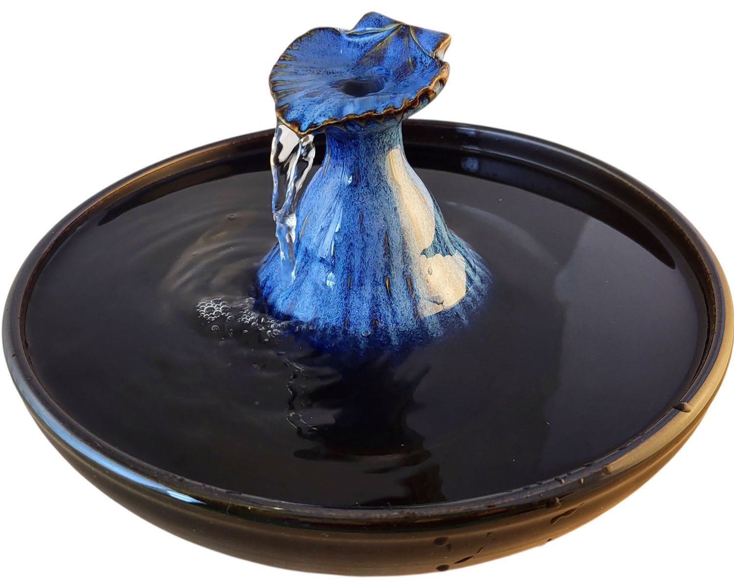 20260205_145910-Photoroom