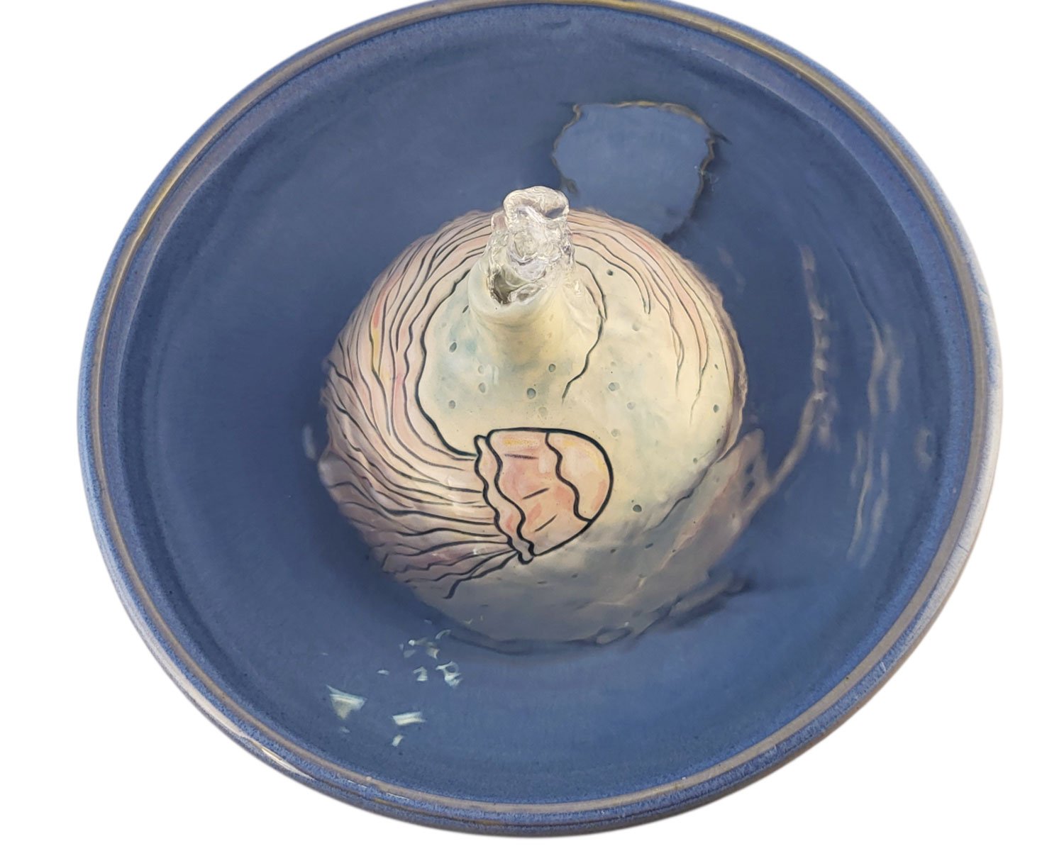 20260205_150304-Photoroom