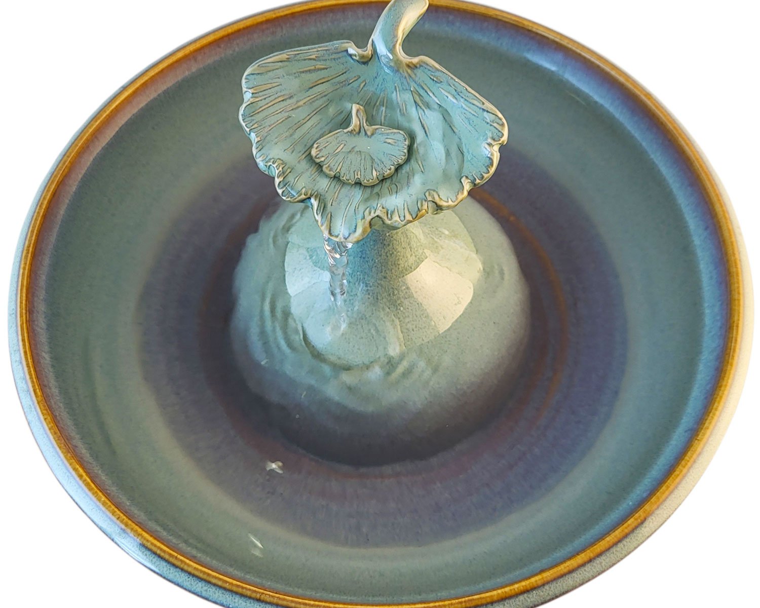 20260205_150701-Photoroom