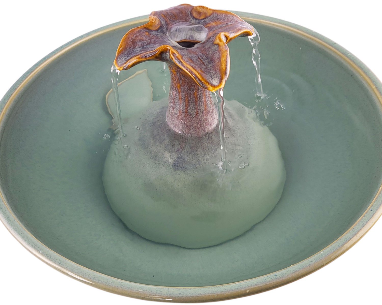 20260206_120429-Photoroom