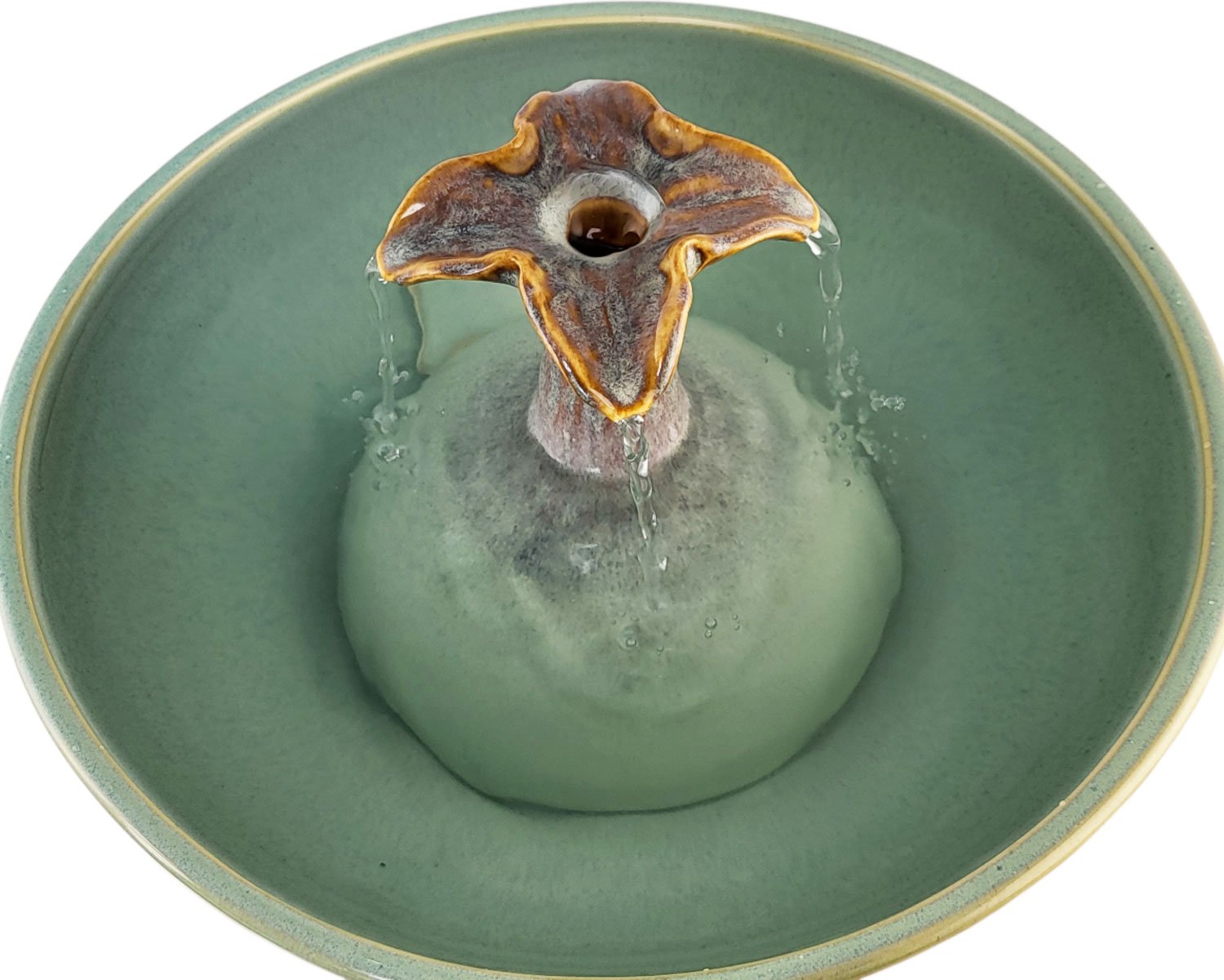 20260206_120435-Photoroom