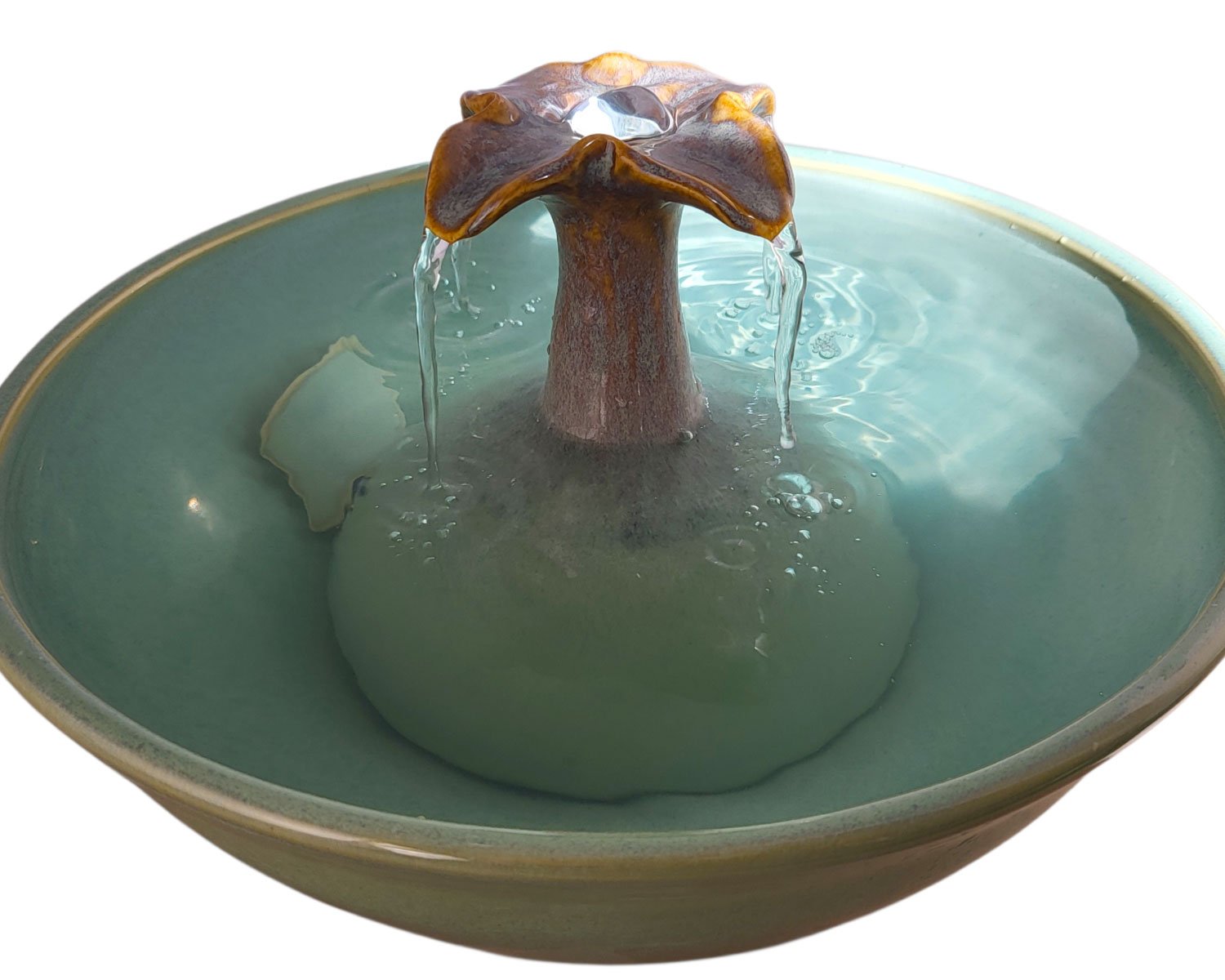 20260206_120508-Photoroom