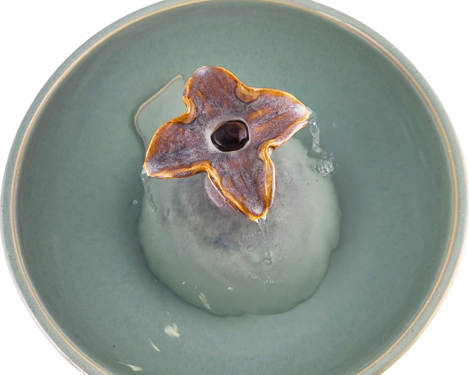 20260206_120514-Photoroom