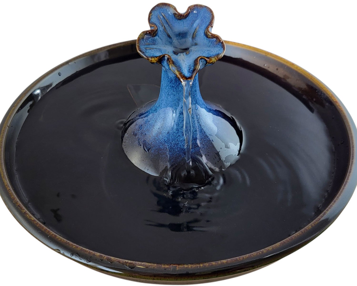 20260206_121159-Photoroom