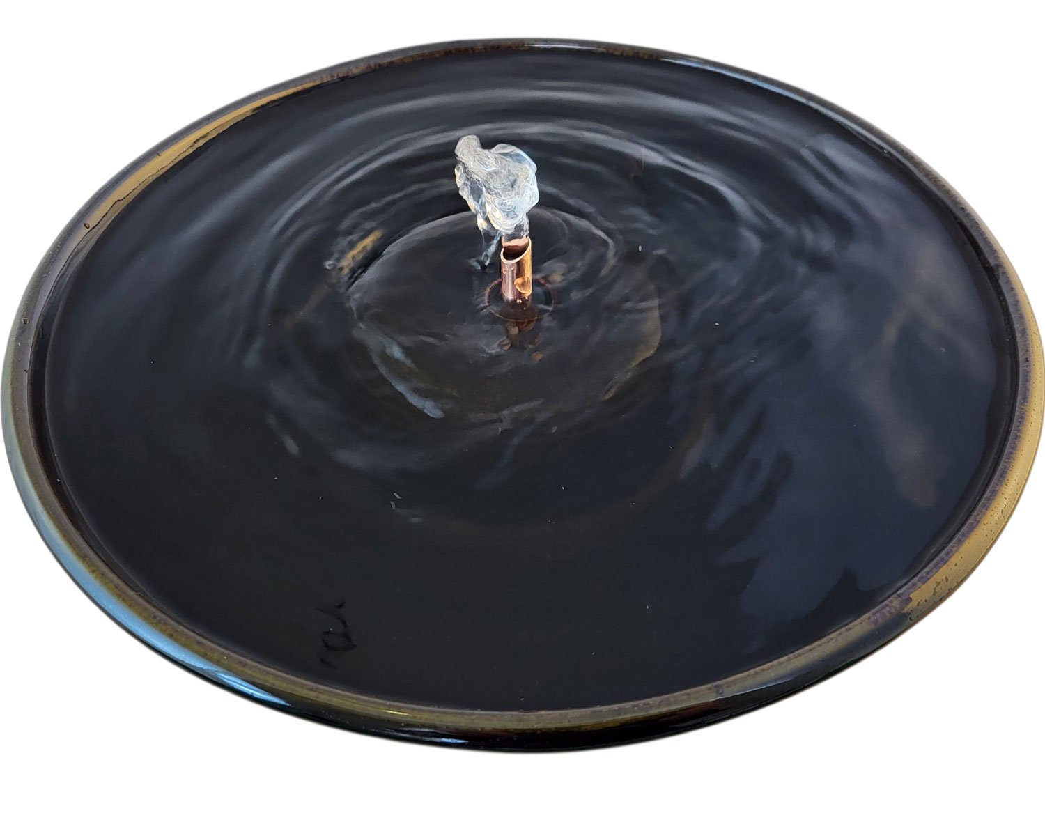 20260206_121804-Photoroom