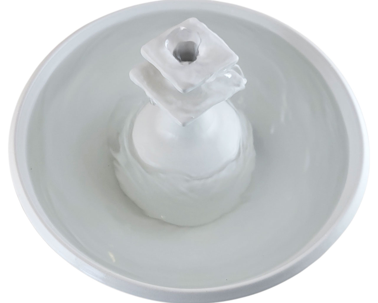 20260209_142236-Photoroom