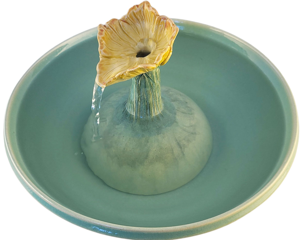 20260209_142805-Photoroom