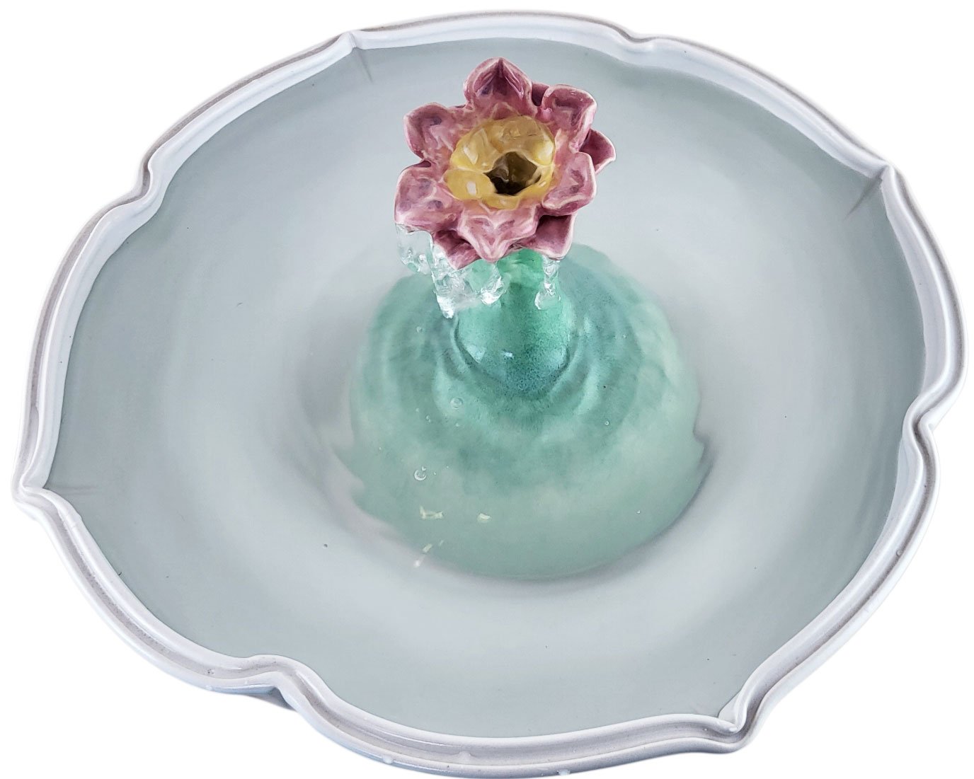 20260210_111726-Photoroom