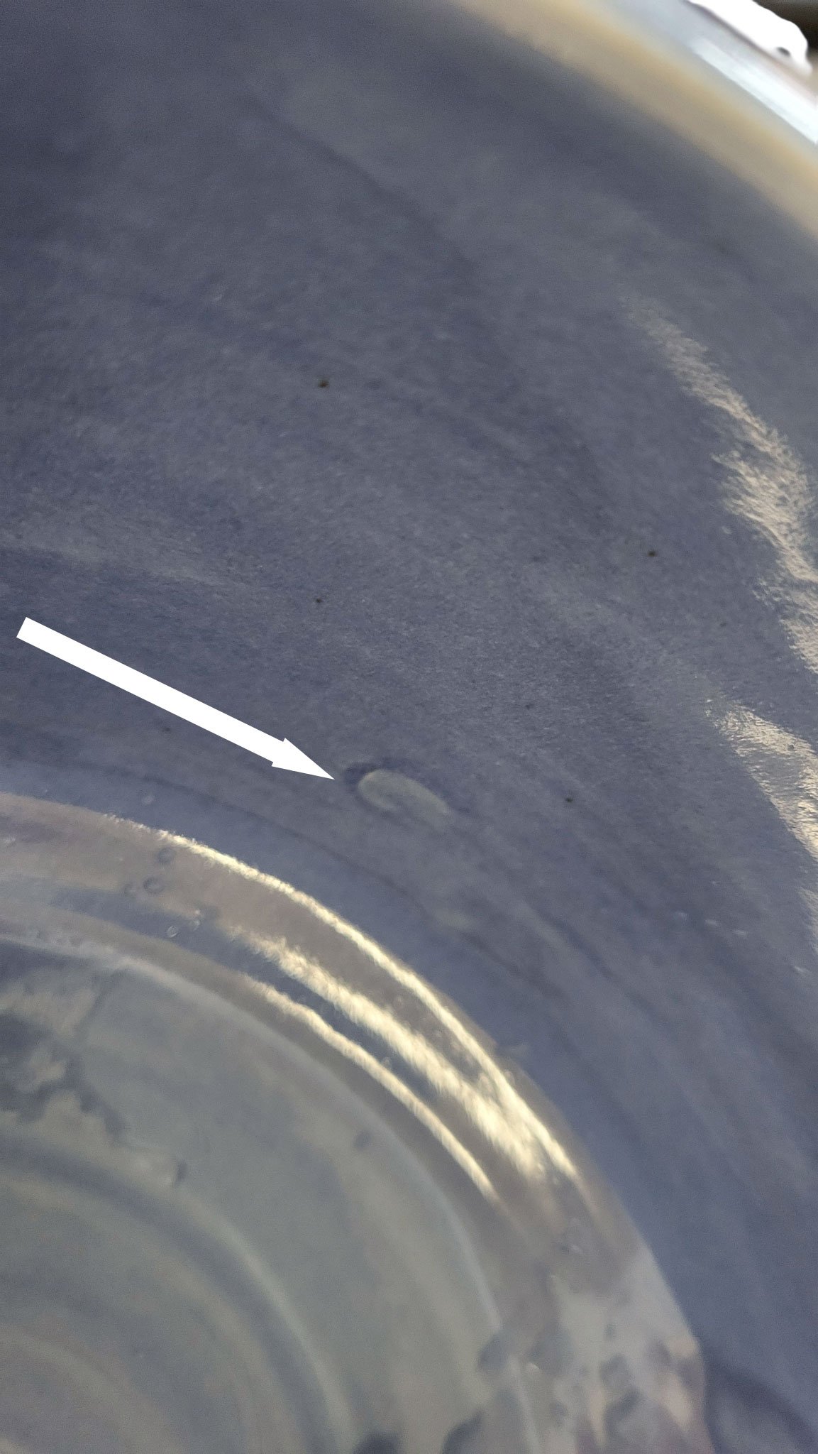 20260210_115628-Photoroom