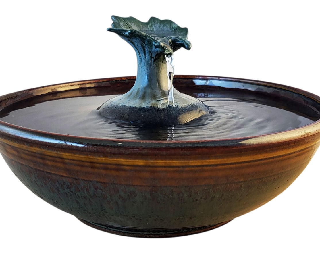 20260212_155440-Photoroom