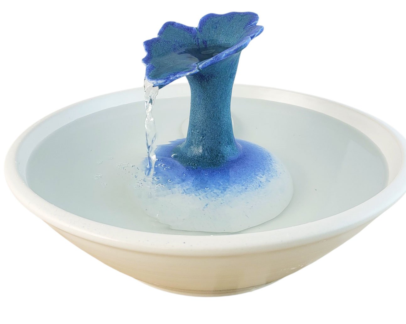 20260213_083419-Photoroom - Copy